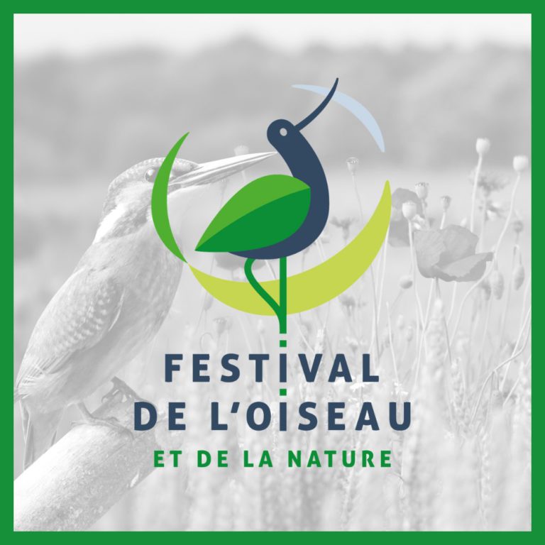 Festival de l'Oiseau et de la Nature (1)